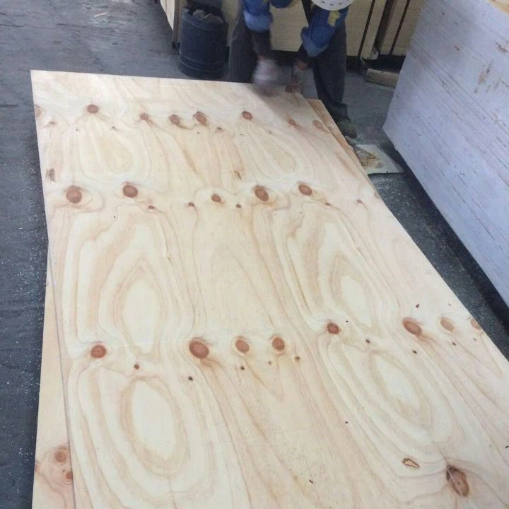 Cdx Pine Plywood لقوالب الخرسانة