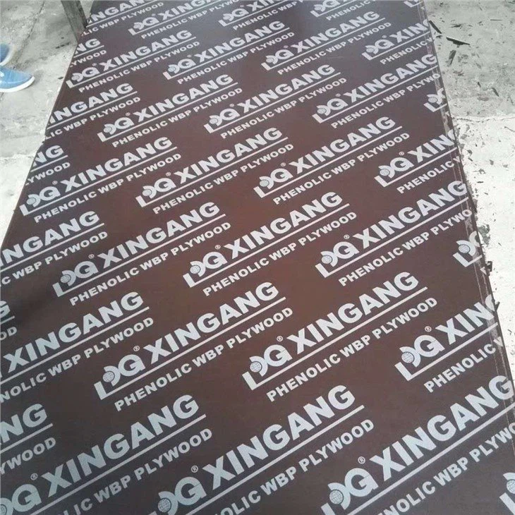 Fenolico triplay for construction use