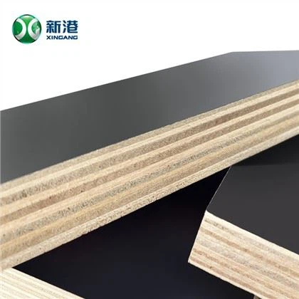 18mm البناء Plywoood