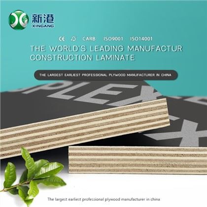 واجه فيلم الخشب الصلب F17 الخشب الرقائقي البحري الخشب الرقائقي