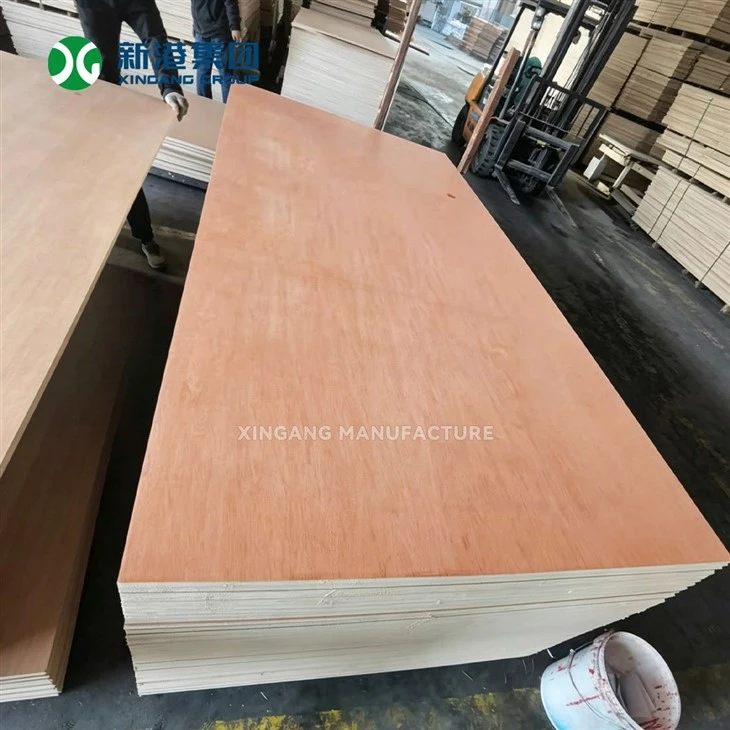 3.6mm 5.2mm Thin Bintangor Plywood For Furniture Back Panel And Packing Box price