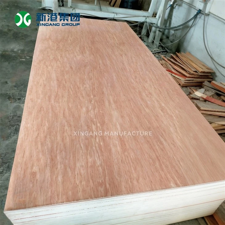 3.6mm 5.2mm Thin Bintangor Plywood For Furniture Back Panel And Packing Box best