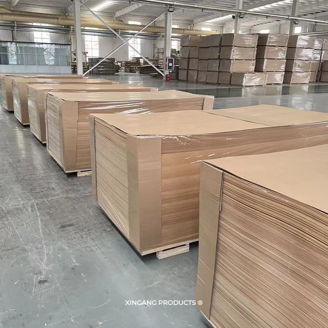 شينغانغ يمول
